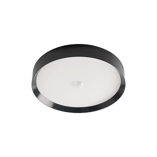 LED Ceiling Light RGBW Air Anthracite