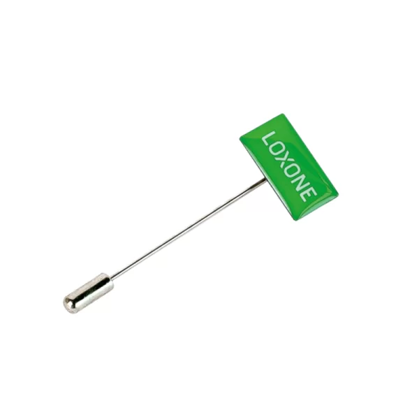 Loxone Pin